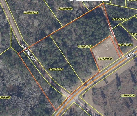 ADDRESS PRIVATE, BONNEAU, SC 29431 - Image 76bc6ffae3e9de2e59b8d25cc8c8807d/177849081