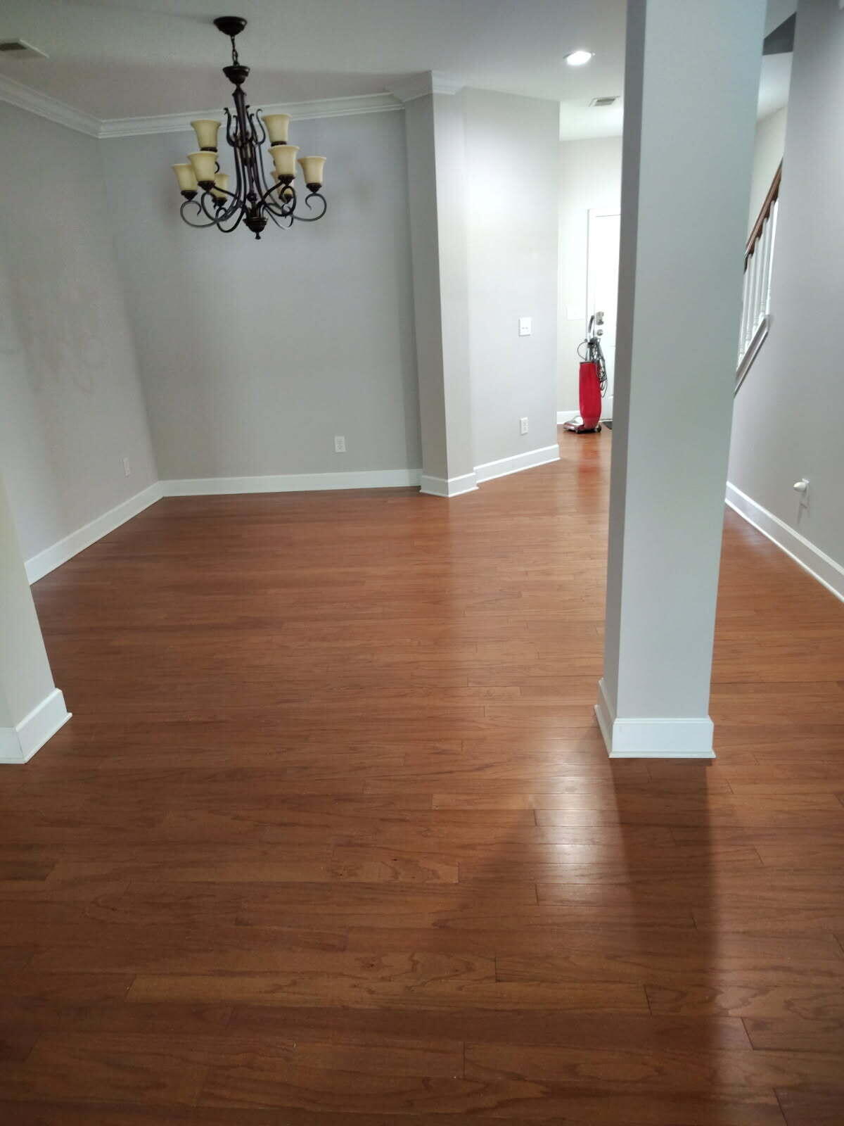 322 Braken Fern Road