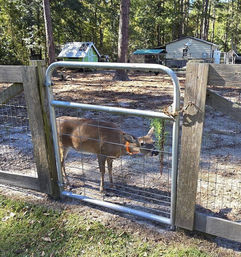 A home in Walterboro