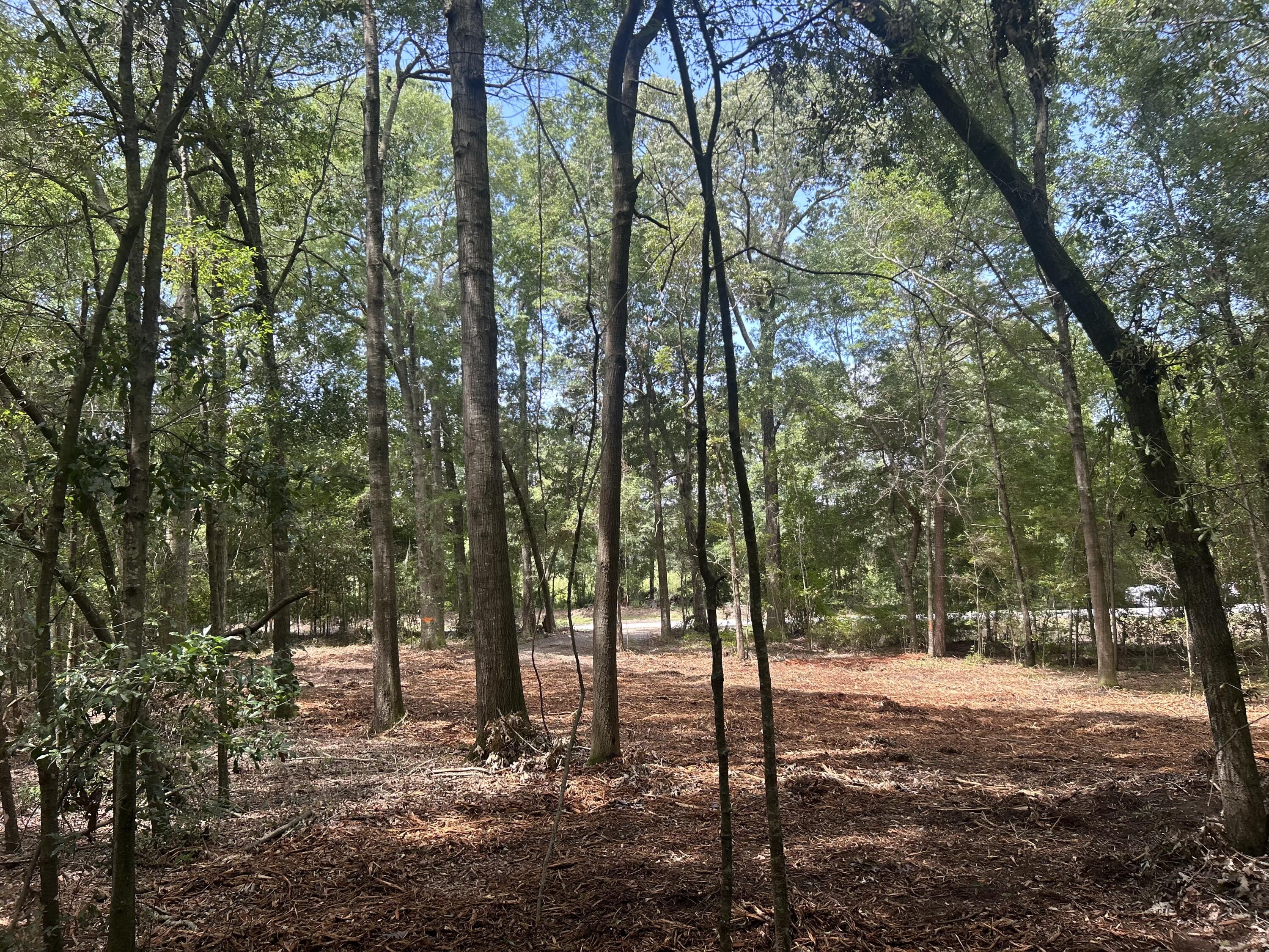 6 Francis Marion Boulevard