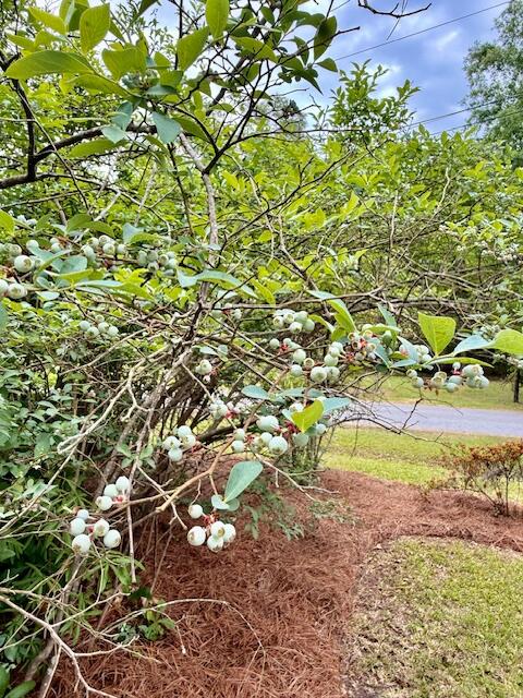 2986 Edbillellis Road