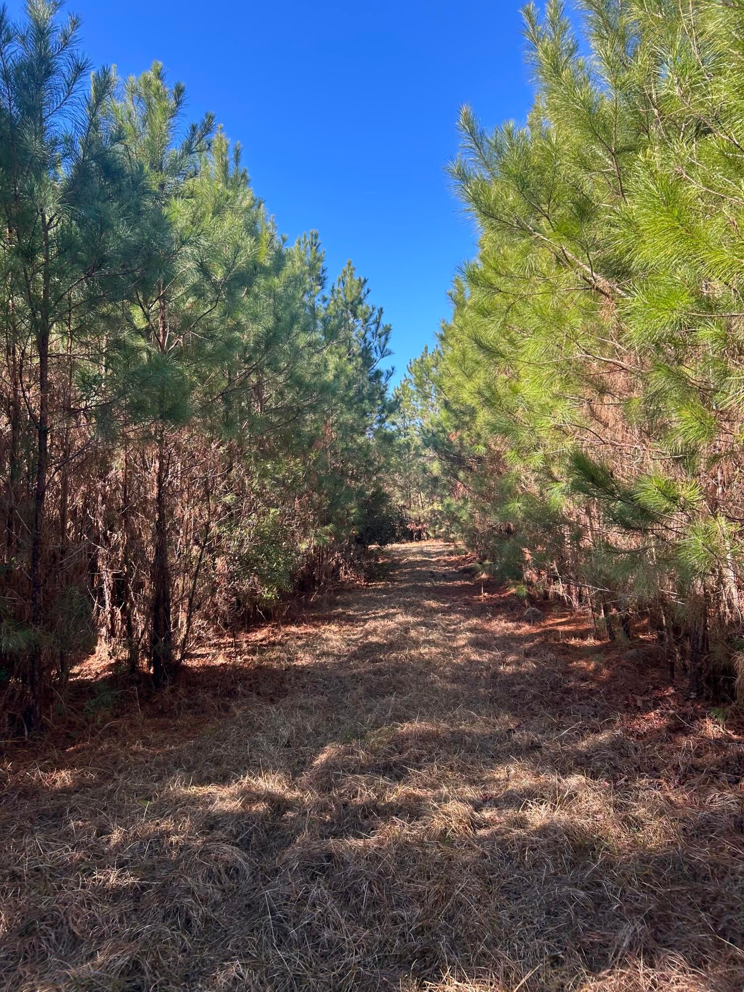 0 Seaboard Road