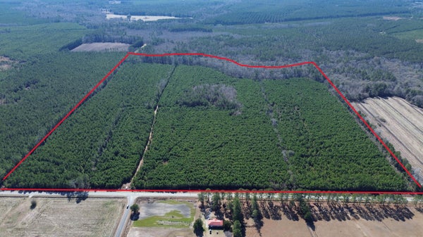 SEABOARD RD, ANDREWS, SC 29510 - Image 7773b6ce2c3932bb3dbf75c8a61718dc/746501346
