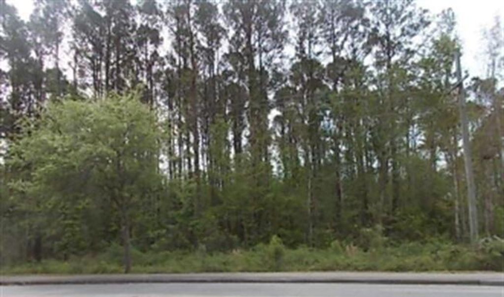 Photo of 0 Mathis Ferry Road, Mount Pleasant, SC 29464 (MLS # 24021965)