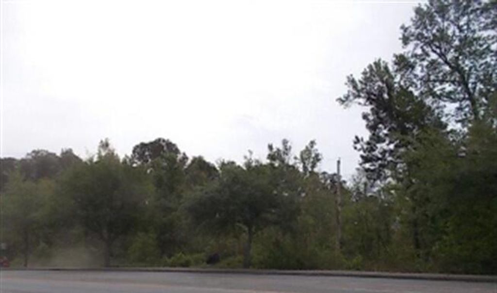 Photo of 0 Mathis Ferry Road, Mount Pleasant, SC 29464 (MLS # 24021965)