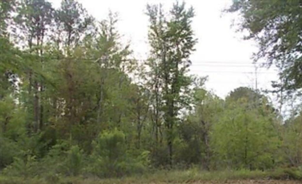 Photo of 0 Mathis Ferry Road, Mount Pleasant, SC 29464 (MLS # 24021965)