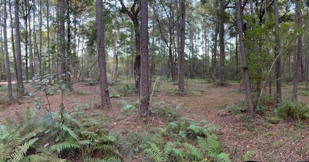 Photo of 0 Butterfly Lane, Awendaw, SC 29429 (MLS # 25027013)