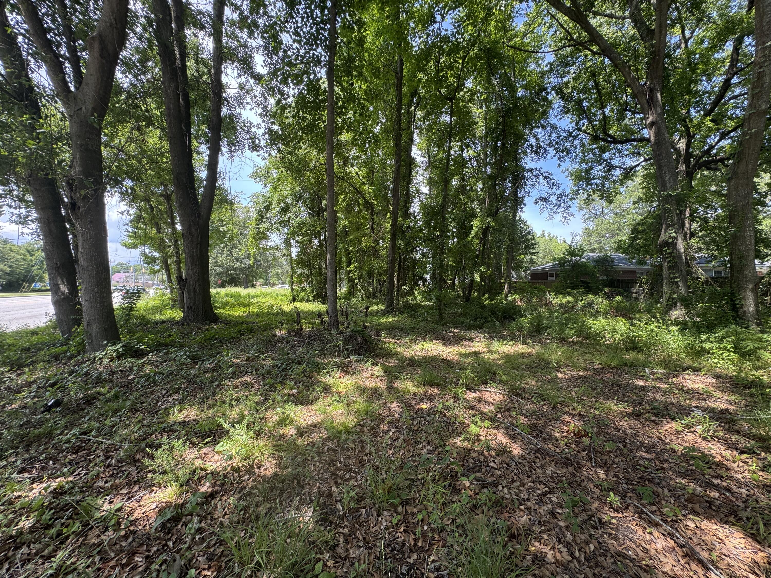 1206 Folly Road