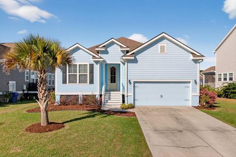 Photo of 377 Turnstone Street, Mount Pleasant, SC 29464 (MLS # 26008916)