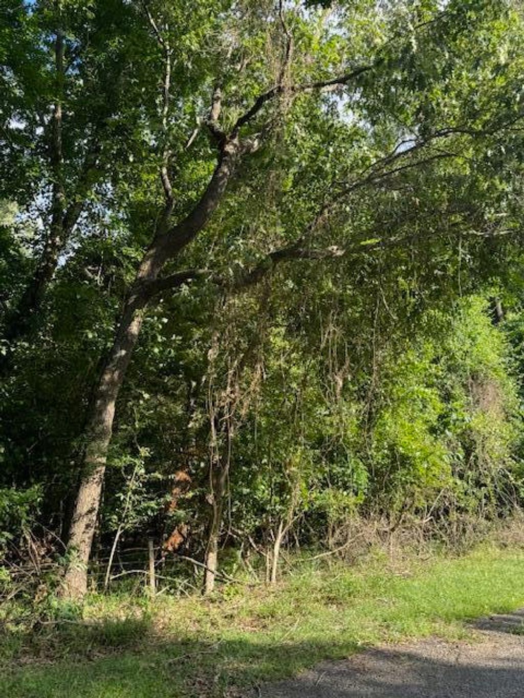 Photo of 605 Main Street Ext, Moncks Corner, SC 29461 (MLS # 24013651)