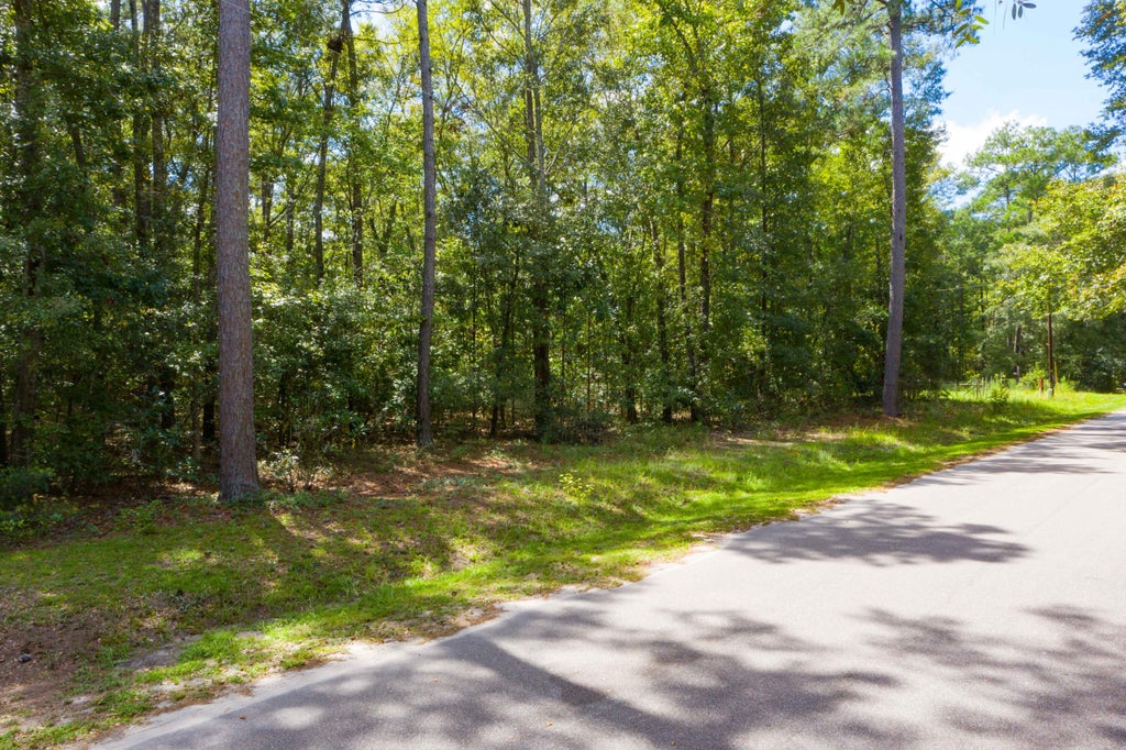 Photo of 0 Gabe, Adams Run, SC 29426 (MLS # 26026122)
