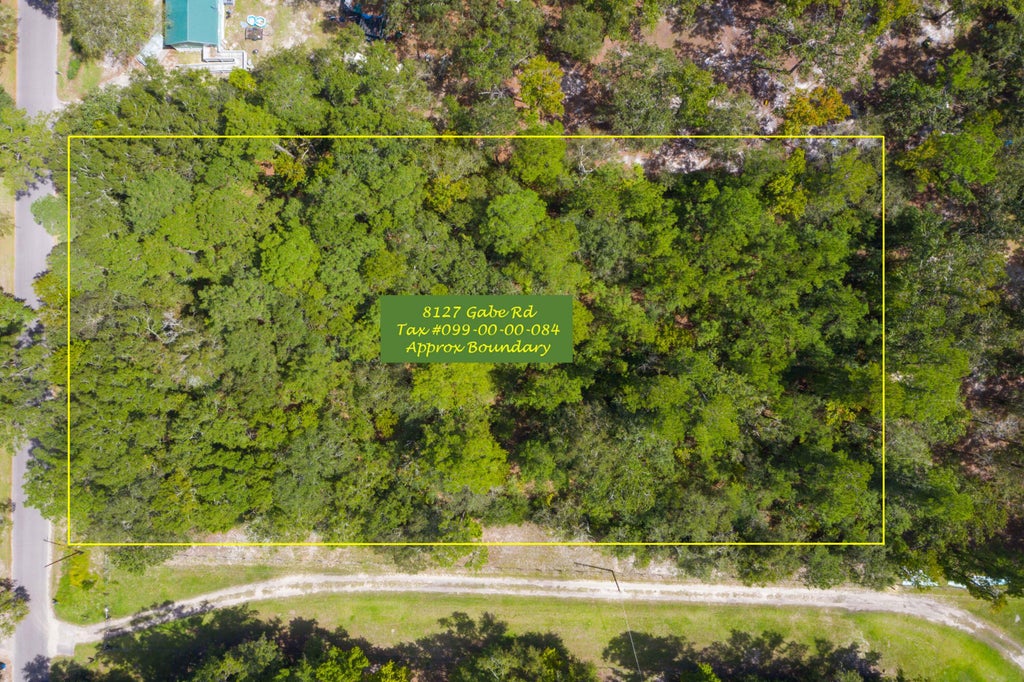 Photo of 0 Gabe, Adams Run, SC 29426 (MLS # 26026122)