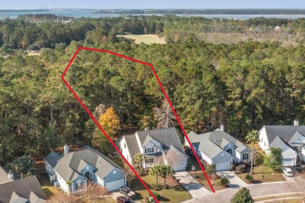 Photo of 1872 Great Hope Drive, Mount Pleasant, SC 29466 (MLS # 25031402)