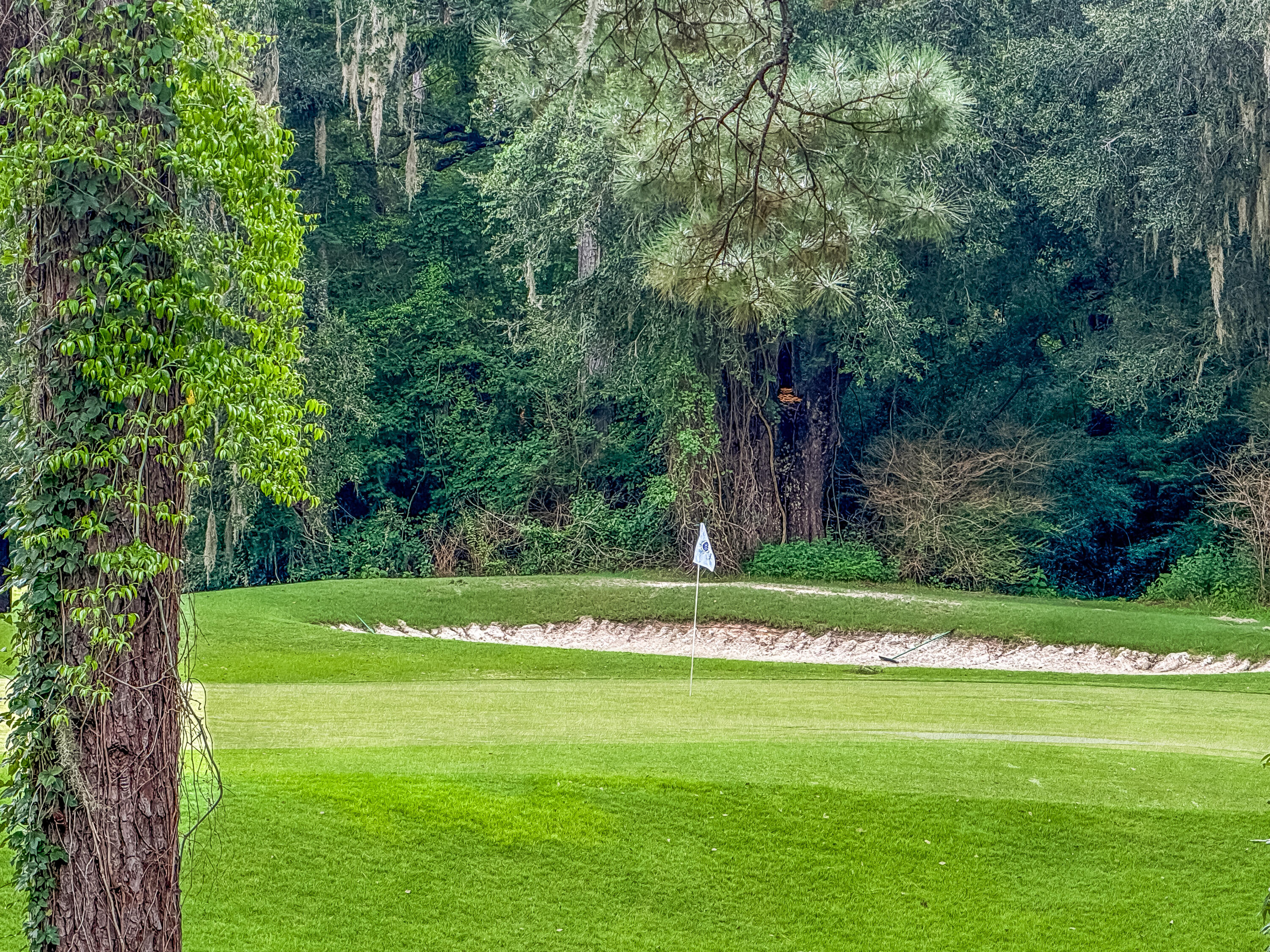 206 Golfview Lane