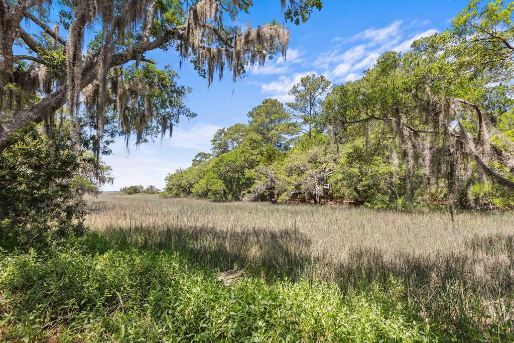 Photo of 1008 Embassy Row Way, Seabrook Island, SC 29455 (MLS # 26013609)