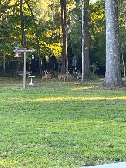 Single Family Residence in Edisto Island SC 8357 Chisolm Plantation Road 30.jpg