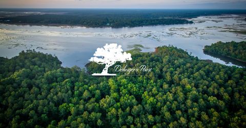 3881 Cunningham Court Mount Pleasant SC 29466