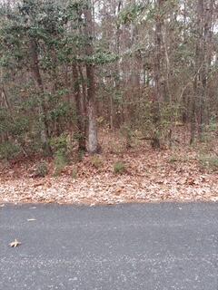 Lot 211 # 1