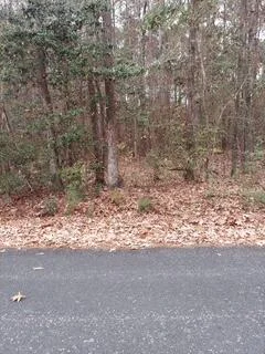 Lot 211 Prices Bridge Lane