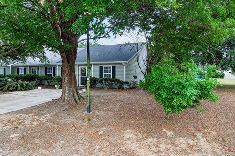 Photo of 1407 Amanda Park Lane, Charleston, SC 29412 (MLS # 26015600)