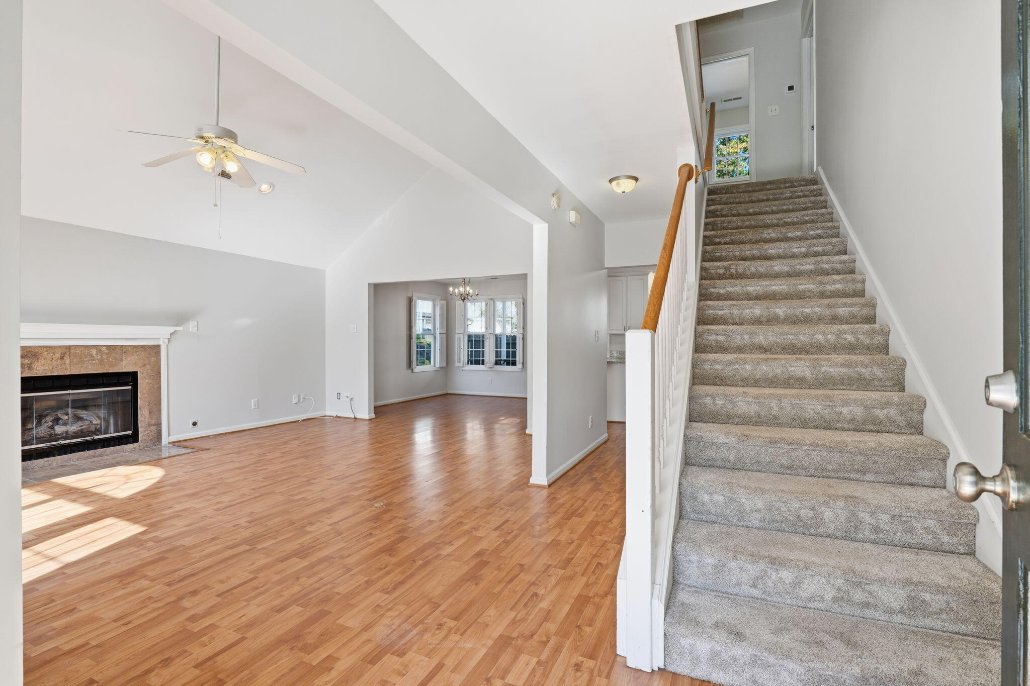 1924 Cypress Branch Court