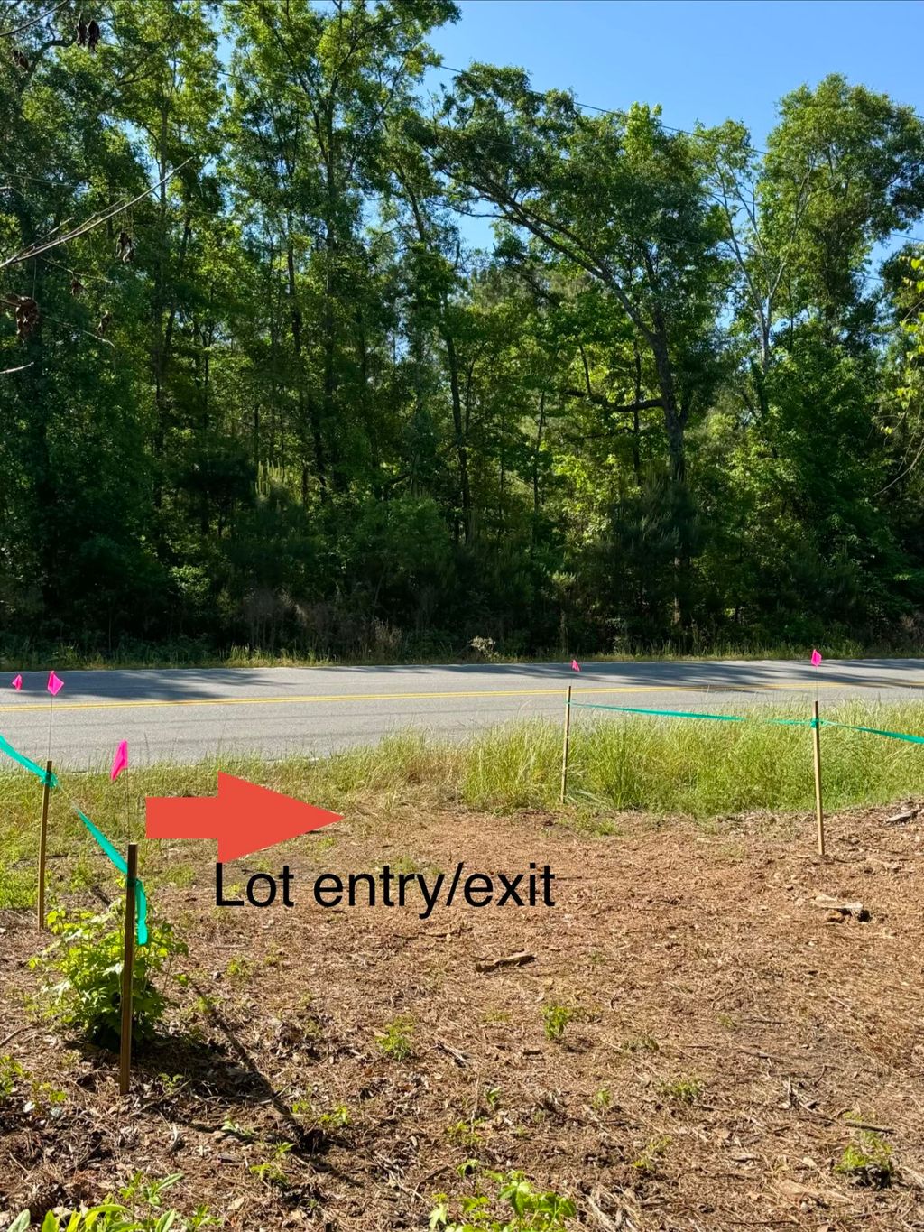 Photo of 0 Delemar Highway, Ravenel, SC 29470 (MLS # 26011392)