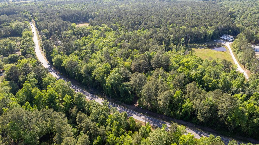 Photo of 0 Delemar Highway, Ravenel, SC 29470 (MLS # 26011392)