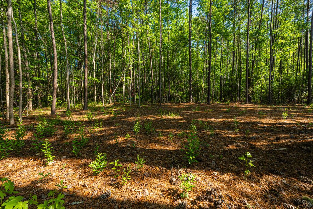 Photo of 0 Delemar Highway, Ravenel, SC 29470 (MLS # 26011392)