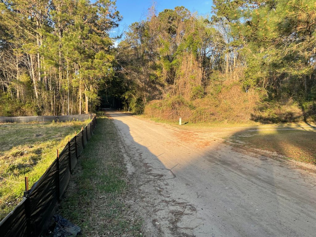 Photo of 3864 Abe White Road, Awendaw, SC 29429 (MLS # 25008491)