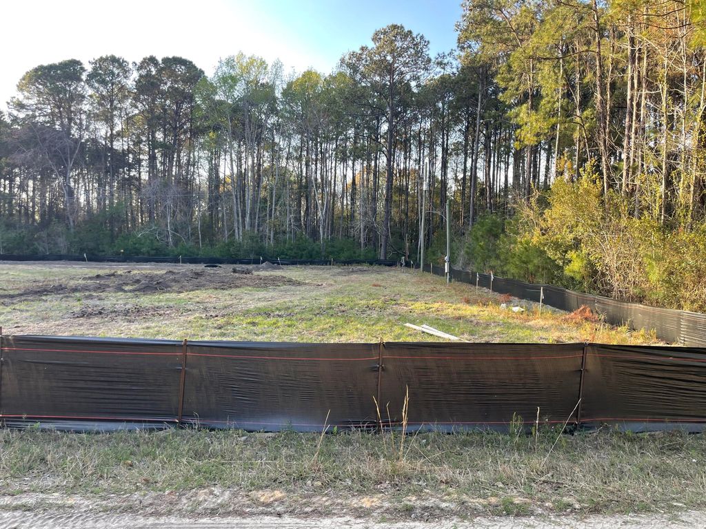 Photo of 3864 Abe White Road, Awendaw, SC 29429 (MLS # 25008491)