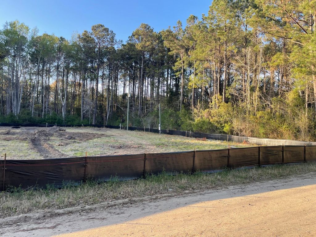 Photo of 3864 Abe White Road, Awendaw, SC 29429 (MLS # 25008491)