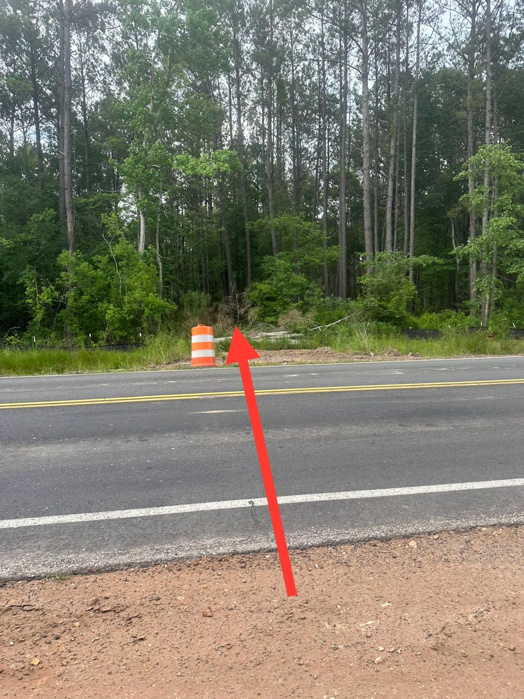 Photo of 0 Highway 176, Moncks Corner, SC 29461 (MLS # 24011116)