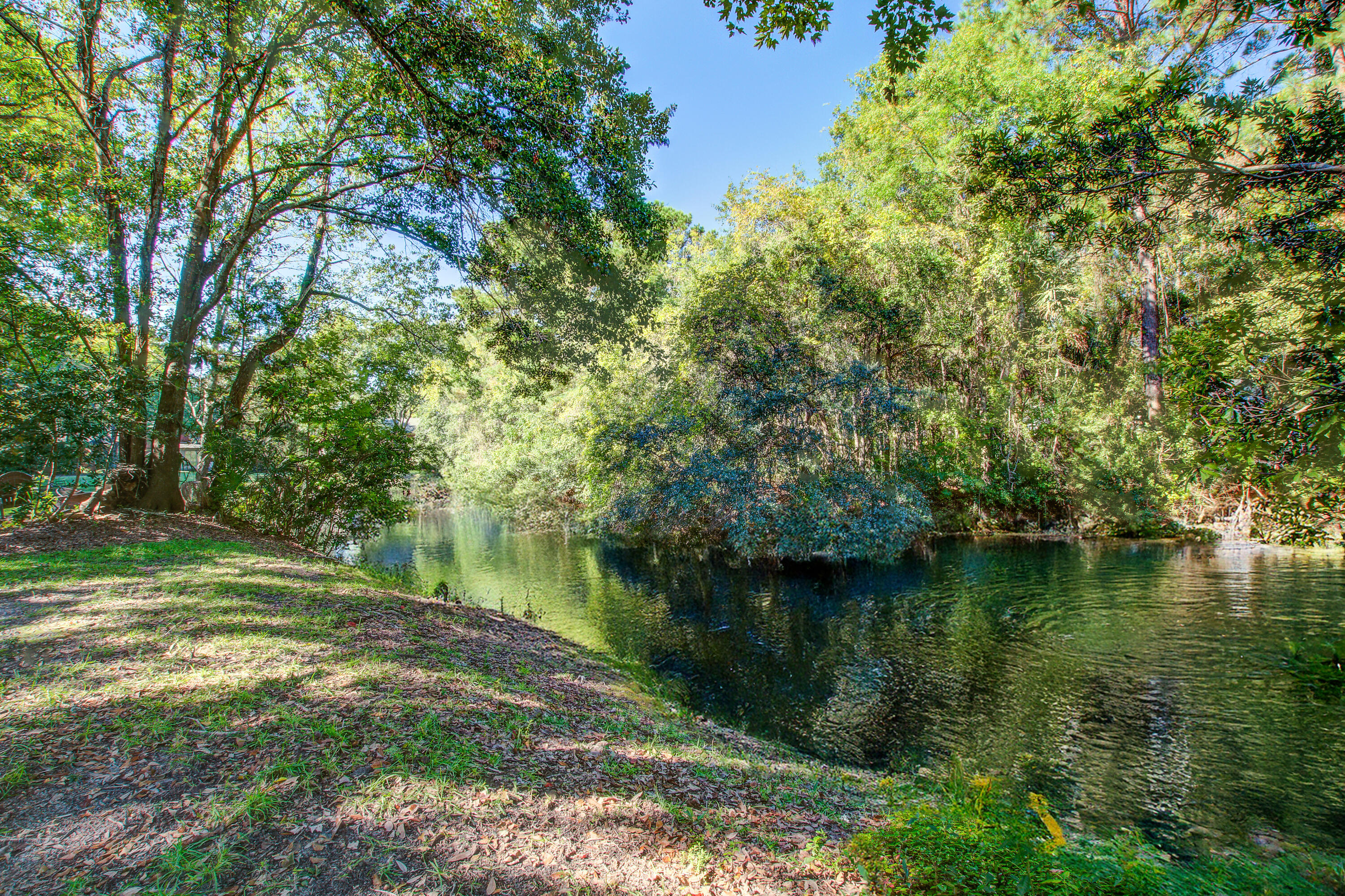 1928 Oak Tree Lane