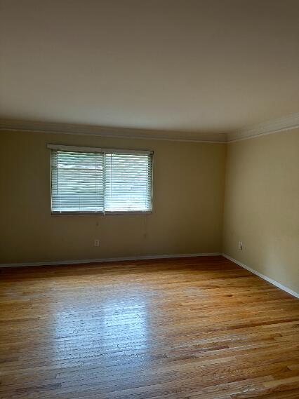 704 Andrea Court