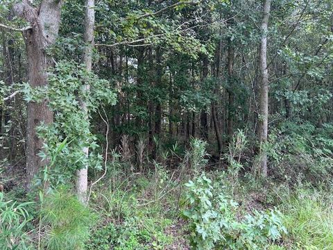 Lot 6 Sheep Island Road Summerville SC 29486