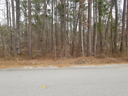 0 SORIN CIRCLE, ELLOREE, SC 29047 - Image 7c9d2baadc9e9b2fc8554f07d6d2184c/291999993
