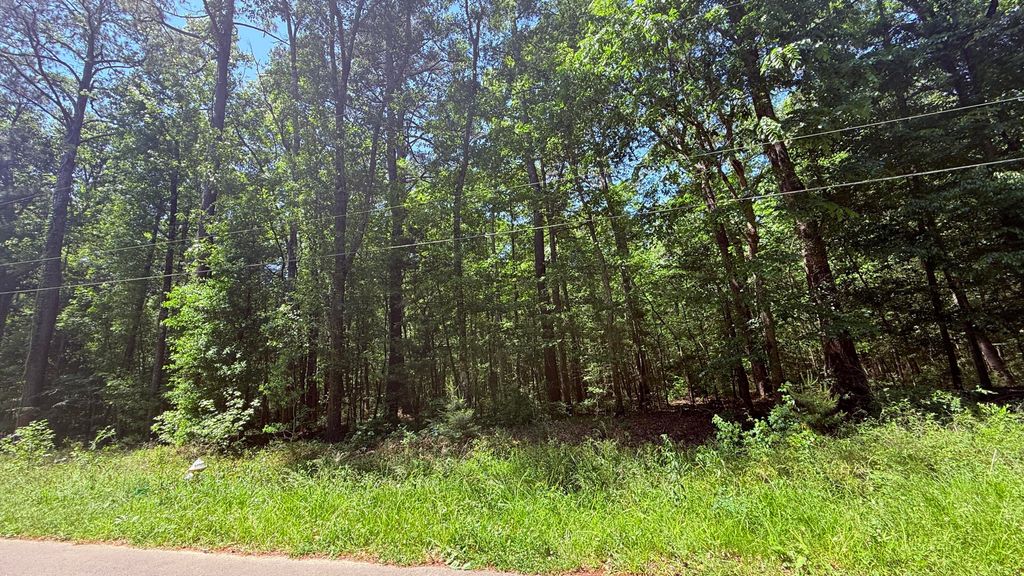 Photo of 00 Weir Street, Summerville, SC 29483 (MLS # 26011801)