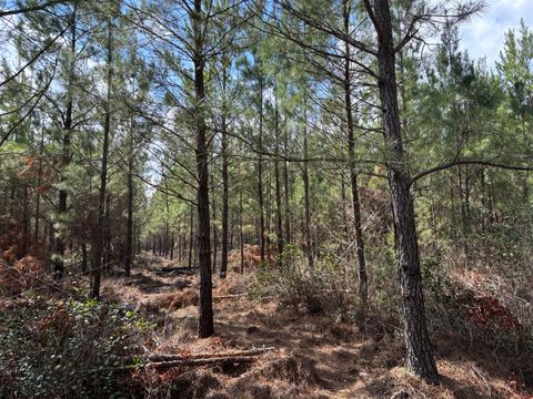 11 Red Oak Road Cottageville SC 29435