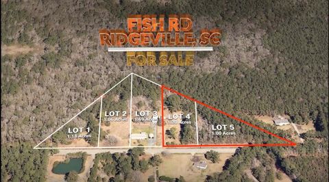 0 Fish Road 4 & 5 Ridgeville SC 29472