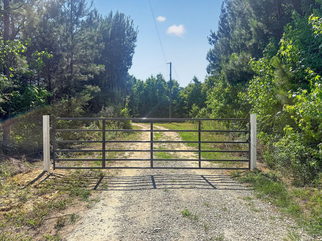 Photo of 131 Ridgle Estates Road, Harleyville, SC 29448 (MLS # 26014330)