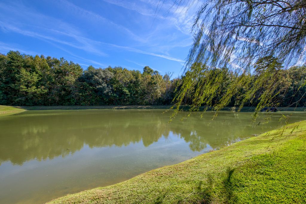 Photo of 161 Carolinian Drive, Summerville, SC 29485 (MLS # 25029862)