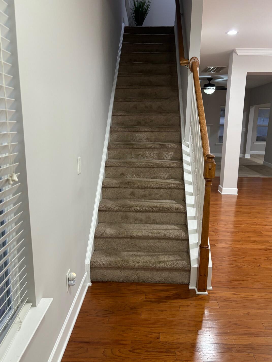 322 Bracken Fern Road