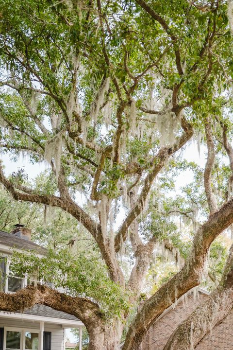 A home in Charleston