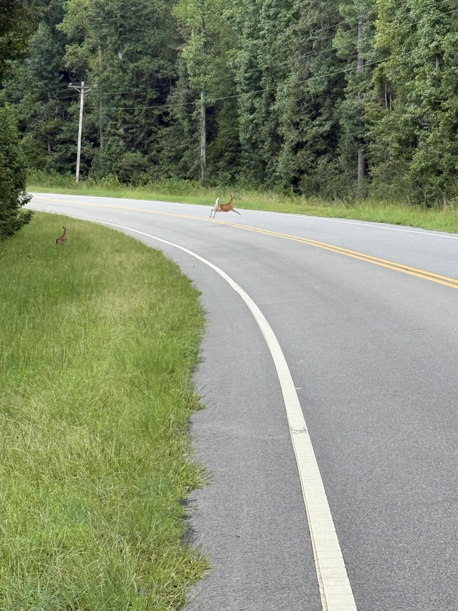 0000 State Rd S-6-169