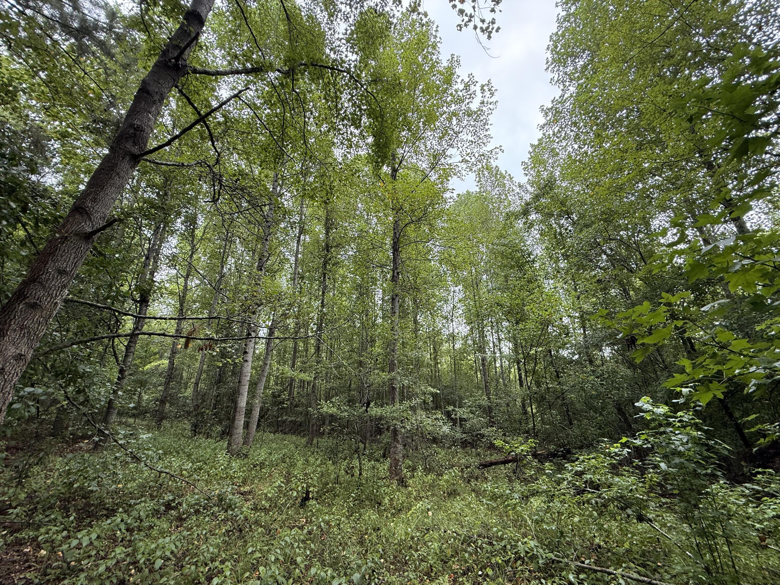 0000 State Rd S-6-169