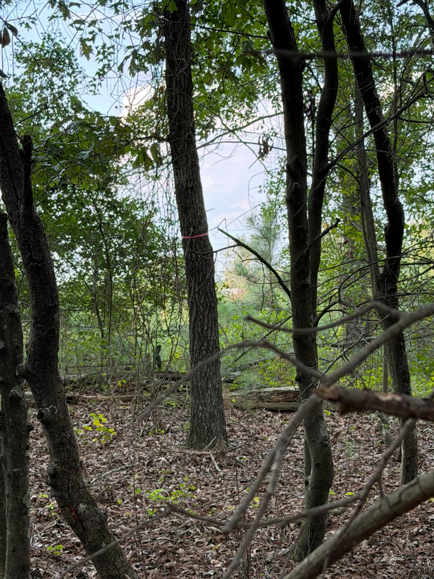 0 Fire Tower Road