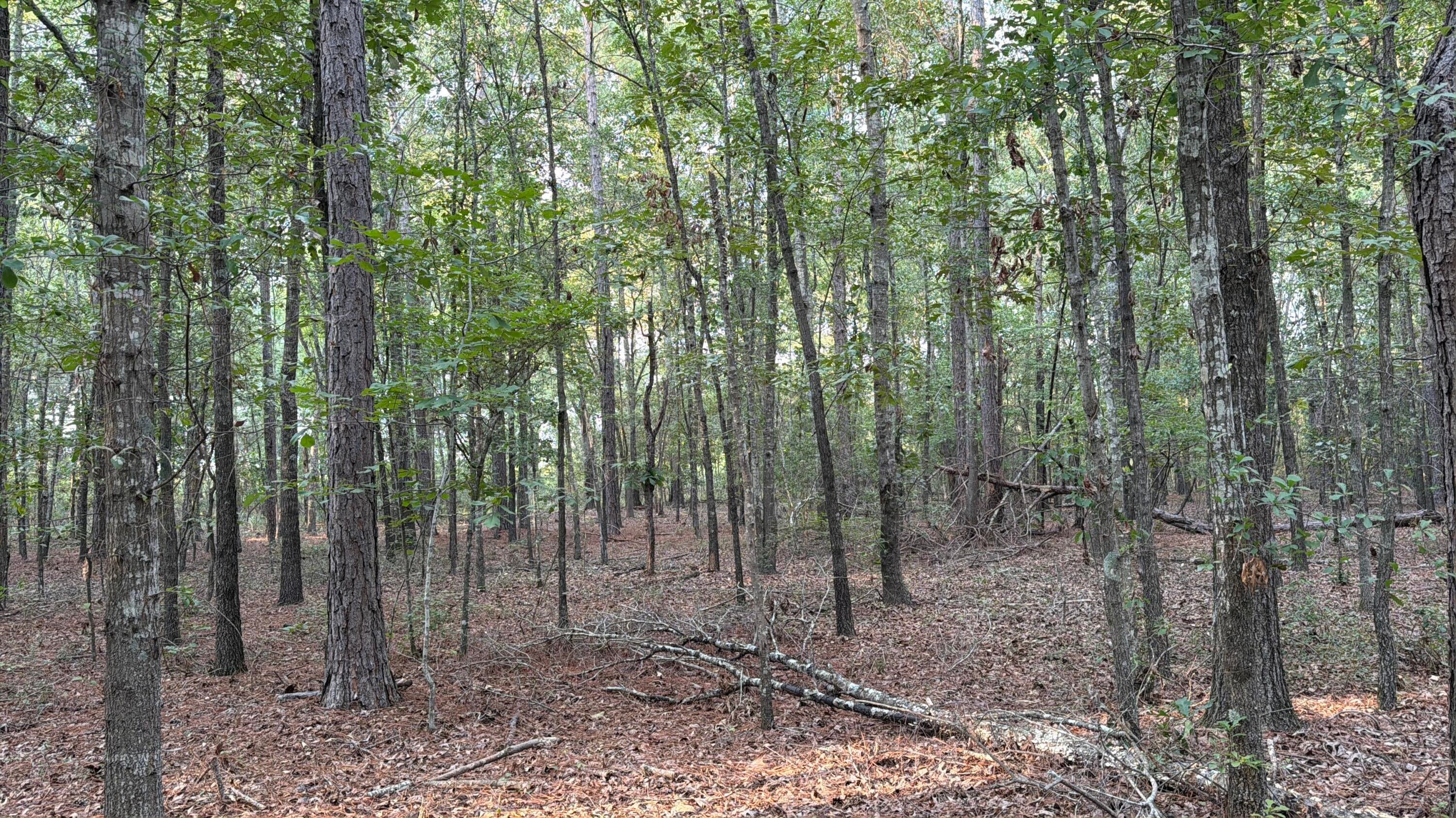 0 Fire Tower Road