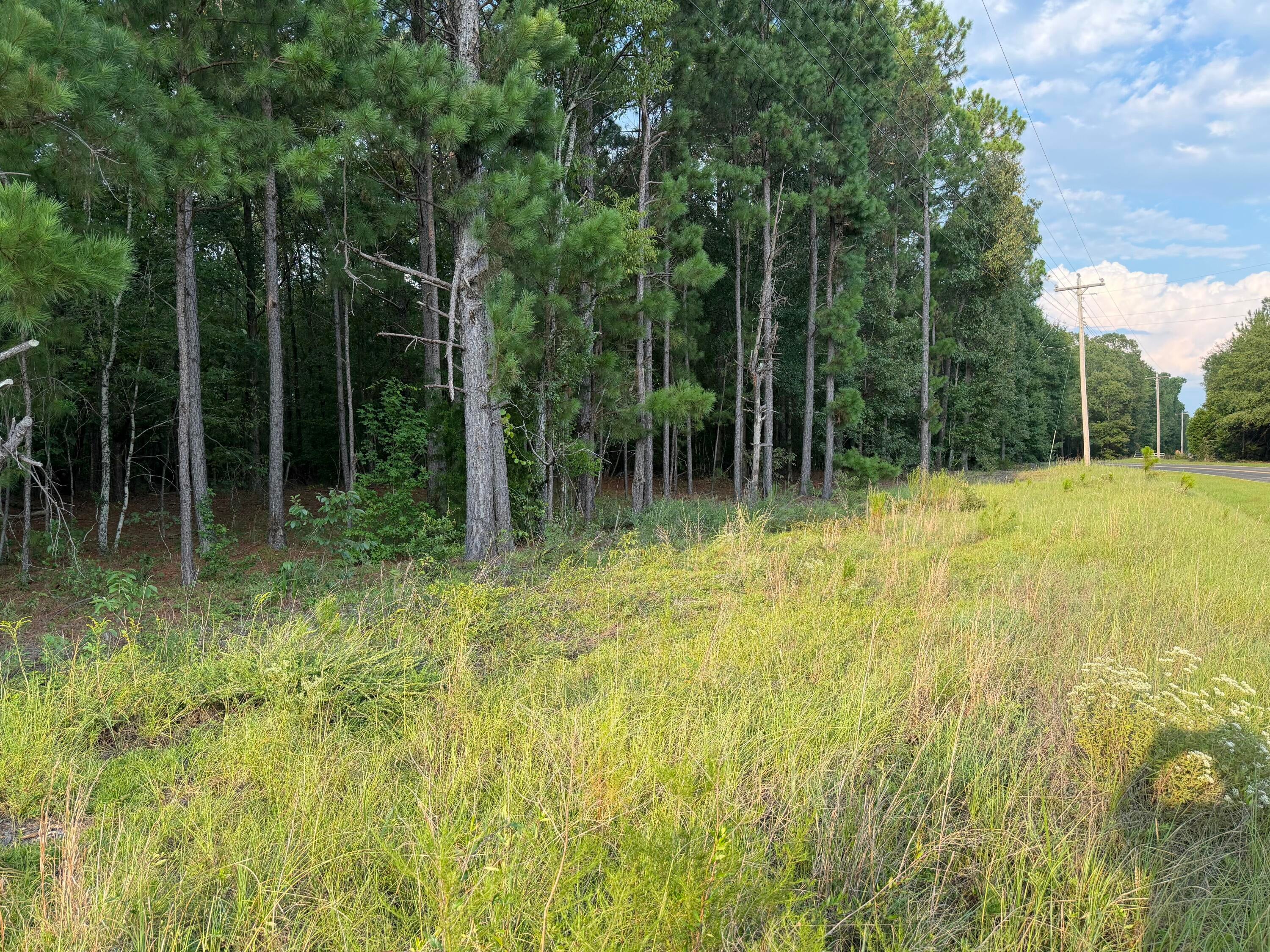 0 Fire Tower Road