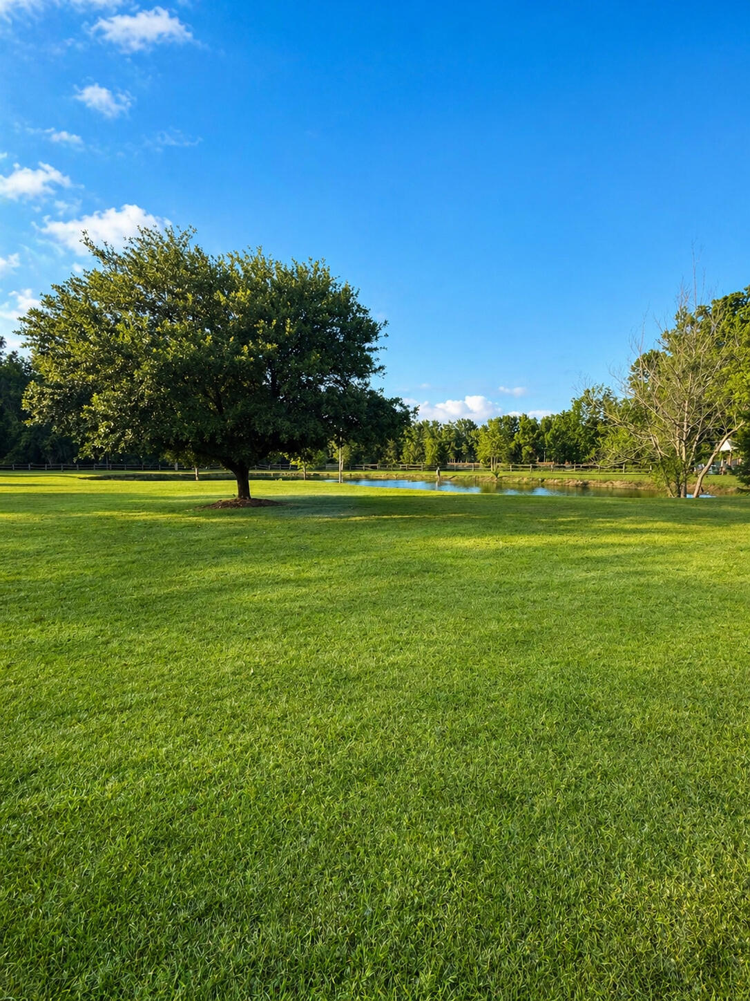 164 Sparrow Road