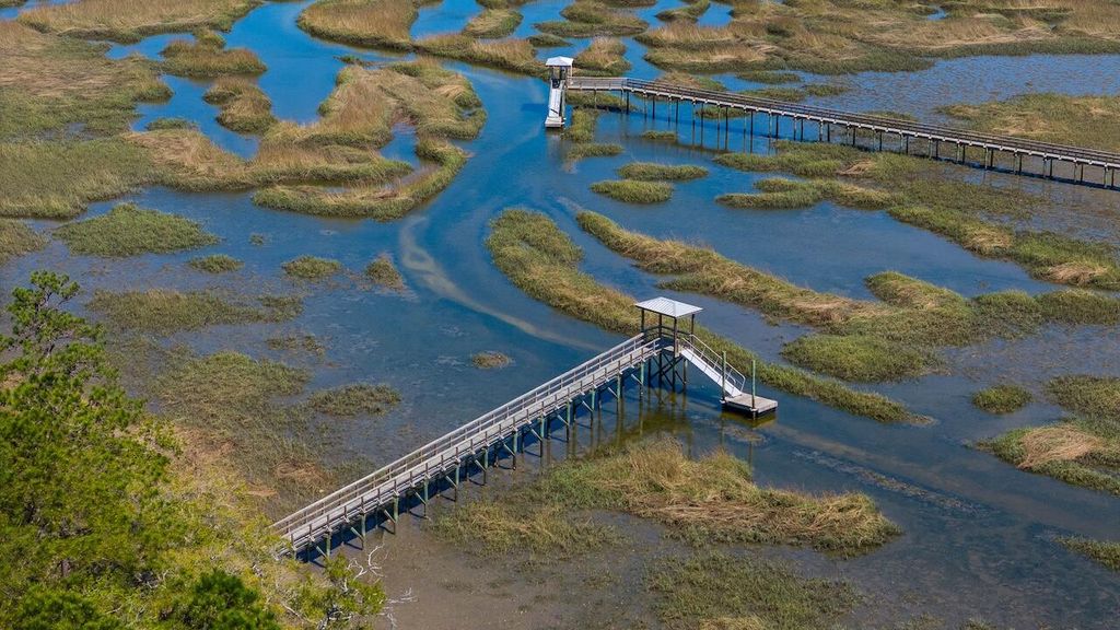 Photo of 3891 Sawyers Island Drive, Mount Pleasant, SC 29466 (MLS # 26008191)